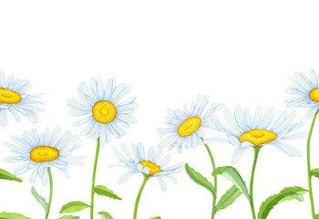 Seamless border of daisies on a white background. Watercolor flower border.
