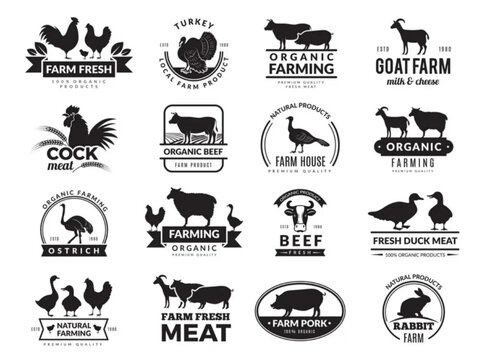 Farm animals business logo with domestic animals vector image