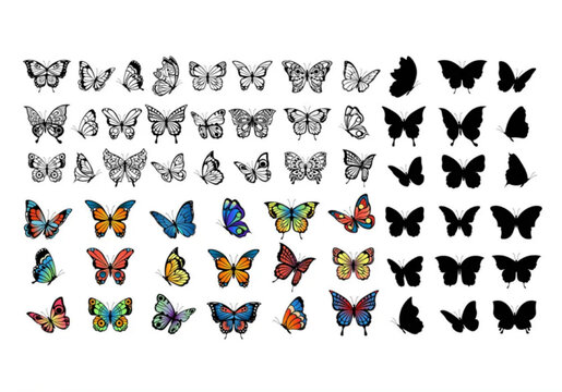 Butterfly collection drawing butterflies vector image