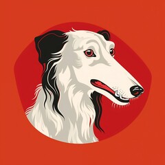 Borzoi dog portrait 