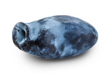 Fresh honeysuckle blue berry isolated on white background with full depth of field © kolesnikovserg