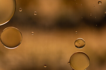 Abstract colorful bubbles. Soft background with gold and copper color circles.