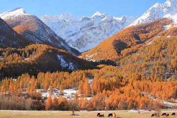 French alps in autumn