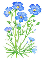 Linseed (flax) blossoms over white background. Generative AI watercolor illustration