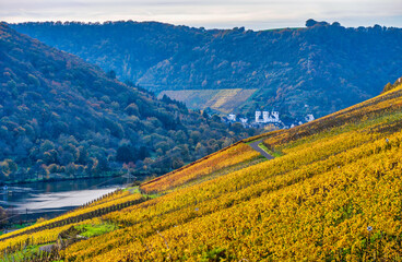 Treis-Karden village in the gorge between steep vineyards on Moselle river during autumn in Cochem-Zell district, Germany