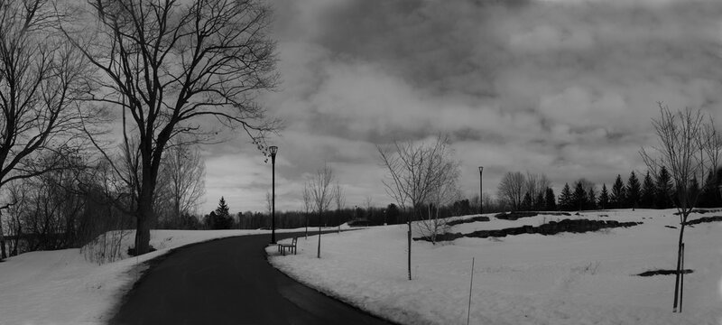 Parc Voltigeurs 18 Mars 2023 - N&B - Photostacking