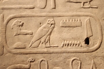 hieroglyphs - obrazy, fototapety, plakaty