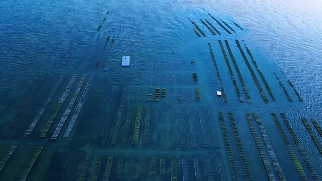 Landscape at sunset of oyster farms between Olha and Fuseta. Aerial view from a drone of the landscape of marshes and salt flats of the Ria Formosa Natural Park. Atlantic Ocean. Algarve. Portugal. Eur