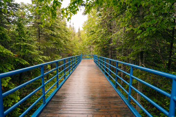 path to majesty of Northern Ontario at Aguasabon Falls and Gorge. Canada