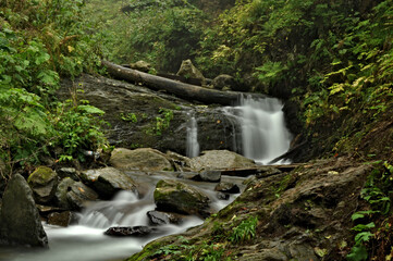 waterfall in the forest