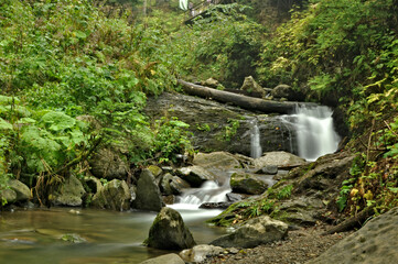 waterfall in the forest