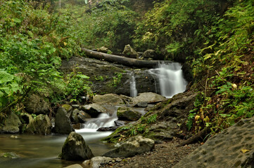 waterfall in the forest