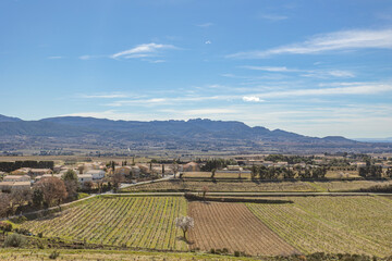 champs de vignes, avec en arrière-plan le village de Rasteau