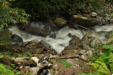 waterfall in the forest