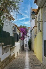Cascais, small city in Portugal, typical street with flower houses
