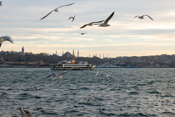 Fototapeta na wymiar Istanbul skyline with seagulls and ferry. Travel to Istanbul background photo.