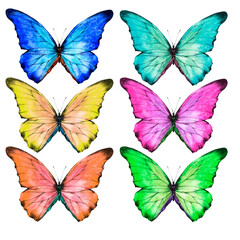 Bright butterflies set. Watercolor illustration, poster.