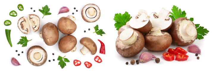 Fresh champignon mushrooms with parsley, peppercorns and red hot chili peppers isolated on white background. Top view