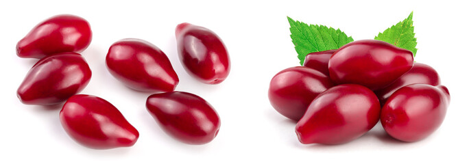 Red berries of cornel or dogwood isolated on white background. Top view. Flat lay