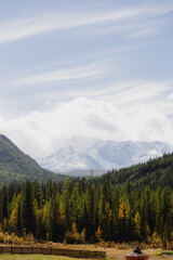 landscape in the mountains