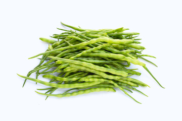 Rat-tailed radish. Fresh organic vegetables