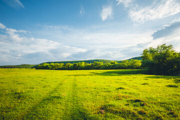 Fantastic rural area with fresh green pasture and blue sky on a sunny day. - obrazy, fototapety, plakaty