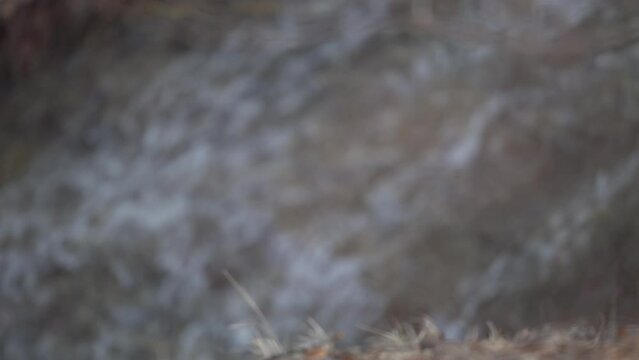 Appennino Monte Cusna