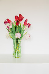 Pink and red tulips in a vase on a white background. Real flowers in the house for spring feelings