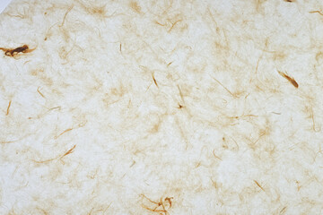 backlit tissue paper background