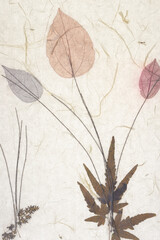 Naklejka premium decorative scrapbook paper with dried florals
