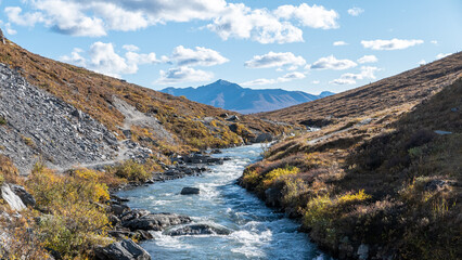 Running River with Water and Hills in Denali Alaska