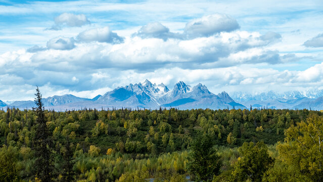 Mountain Range behind Forest in Denali Alaska
