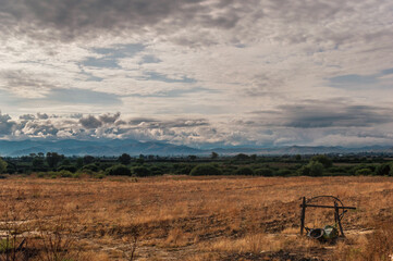 Golden Fields Beneath a Blue Sky: Majestic Landscape Photography