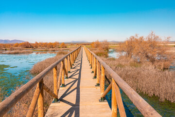 Fototapeta premium Laguna de Fuente Piedra nature reserve and residence for many birds from april till august including Flamingos