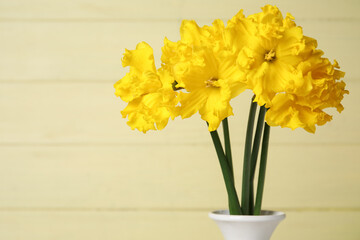 Vase with narcissus flowers on yellow wooden background, closeup