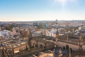 Fototapeta na wymiar Details of the Cathedral and the chapel of Seville from the rooftop of the church with the historic cityscape in the background