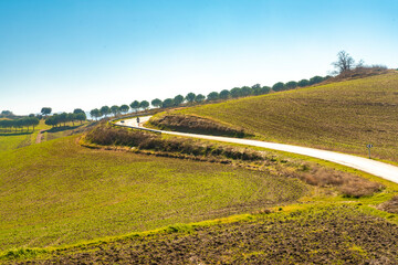 Obraz premium Green landscape near Ronda in Malaga province, spain