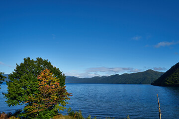 北海道　支笏湖モーラップの朝
