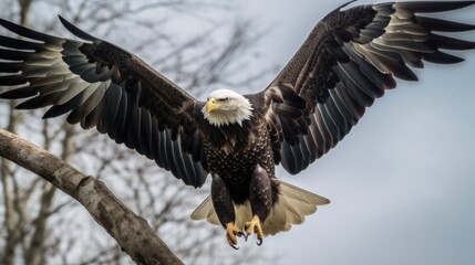 Eagle in the Air Closeup. Generative AI.