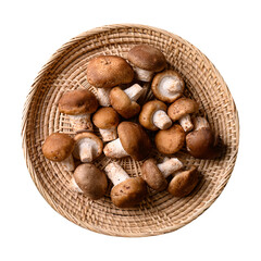 Fresh shiitake mushroom, edible mushroom and food ingredient in Asian cuisine