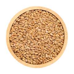 Whole wheat grain in wooden bowl, food ingredient