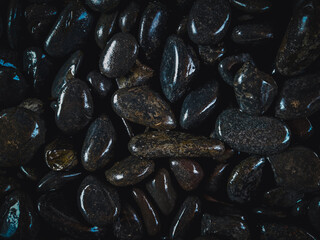 black seeds