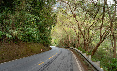 Winding road with tall trees in the mountains of northern Vietnam