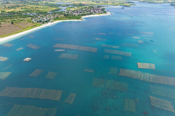 Seaweed farm at Kaliantan beach, east Lombok