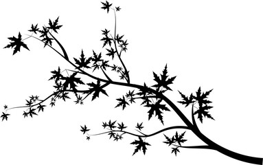 maple branch icon
