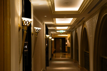 hotel. the interior of a luxury hotel. details. interior photo.