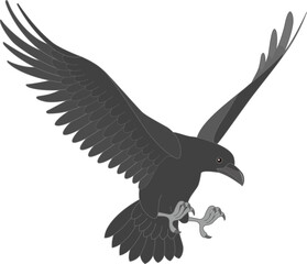 カラス