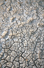 arid land and crackle soil texture