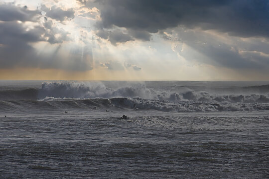 Surfing giant waves in Santa Barbara harbor © L. Paul Mann