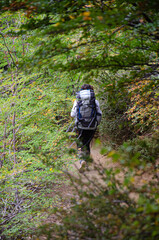 mujer haciendo trakking en medio del bosque
